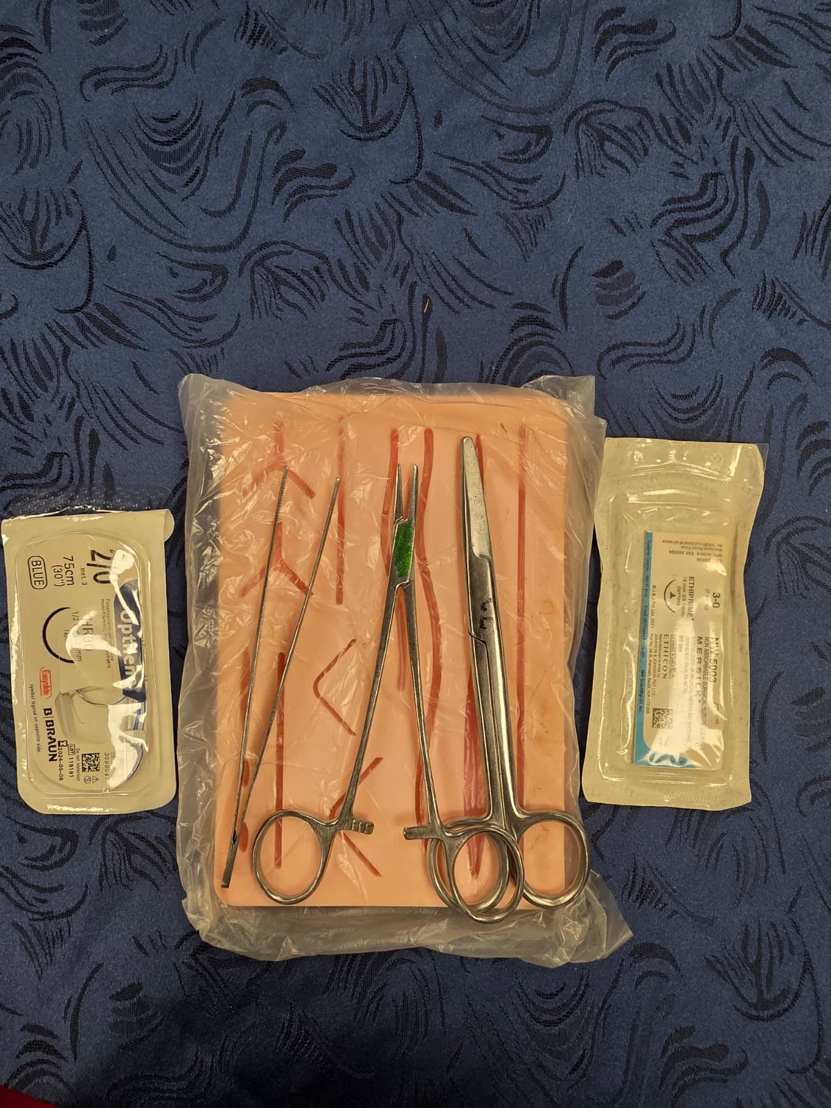 Dermatosurgical Workshop